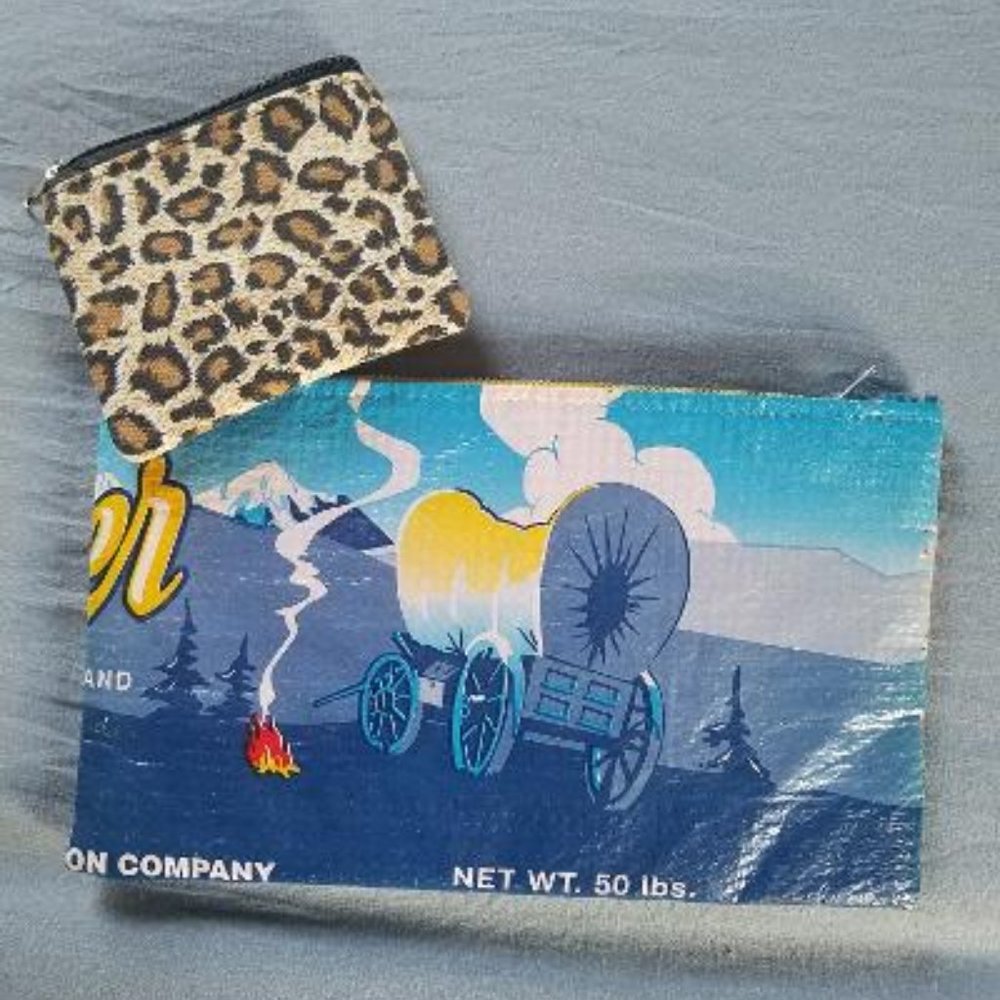 Two Zippered pouches in fun designs